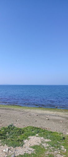 Zeytin Cafe & Restaurant Urla