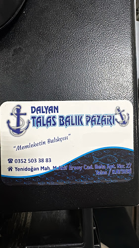 DALYAN BALIKÇI