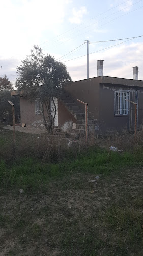 Comentarii opinii despre Derya Tandır Rastoran