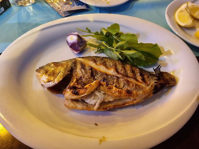 Opinii despre Alanya Balık Evi în Alanya - Gastronomi ve konaklama