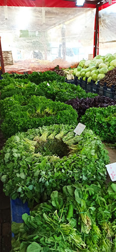 Opinii despre Öz Fedakar Manav în Kahramanmaraş Merkez - Gastronomi ve konaklama