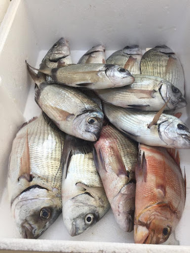 Comentarii opinii despre Murat Balıkçılık Side