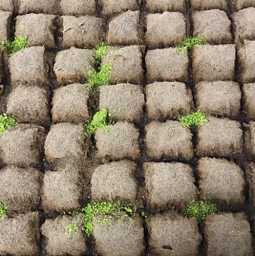 Comentarii opinii despre Soma Durul Dondurma&Tatlı&Çikolata