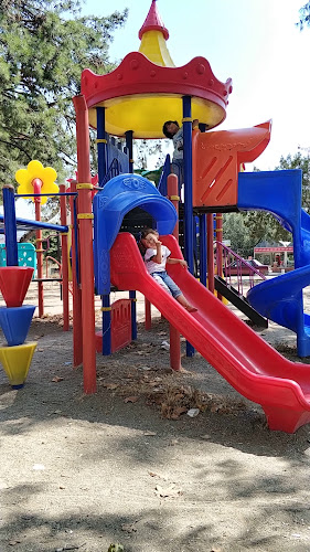 Yeşil İznik Çay Bahçesi