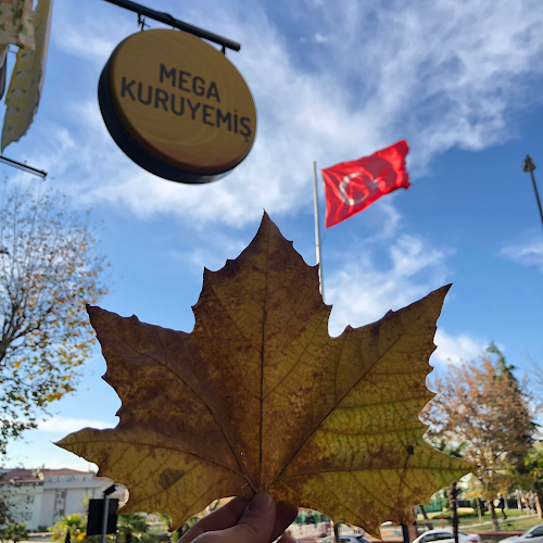 Mega Tekel ve Kuruyemiş