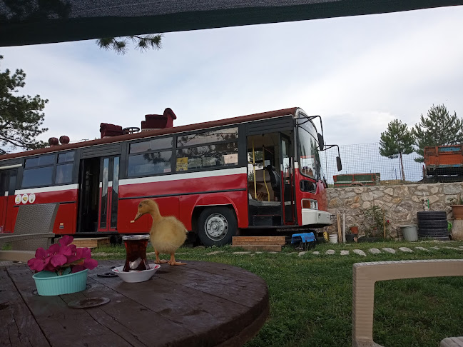 Kafebüs - Aşağıdana/Safranbolu