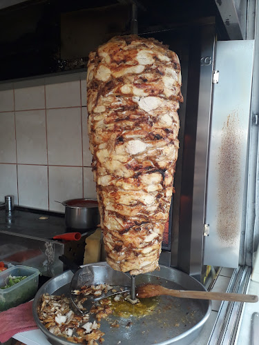 Erzene, 456. Sk. No:5, 35040 Bornova/İzmir