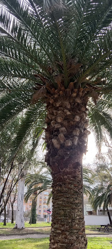 Opinii despre Şahbazoğlu Faroz Köfte în Trabzon Merkez - Gastronomi ve konaklama