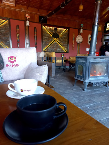 Opinii despre OWL COFFE HOOKAH în payas - Gastronomi ve konaklama