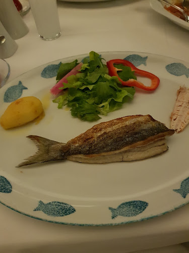 Mavi Balık - Beşiktaş