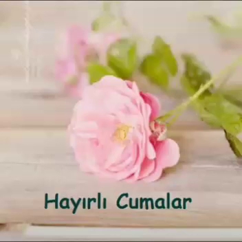 Serince Çiğköfte - Gastronomi ve konaklama