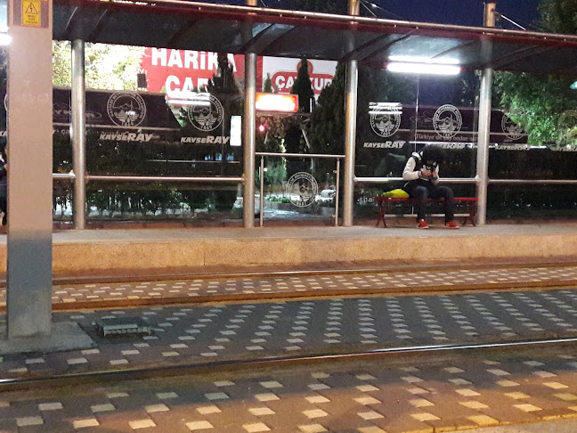 Köşk, Fakülte İçi Küme Evleri, 38030 Melikgazi/Kayseri