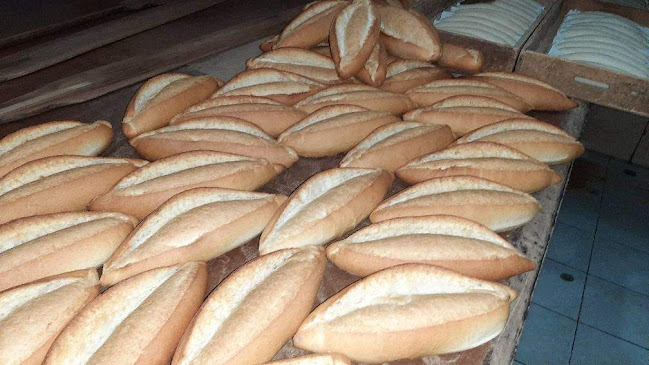 UMUDUM KARDEŞLER UNLU MAM GID.VE İHT.MAD.LTD.ŞTİ