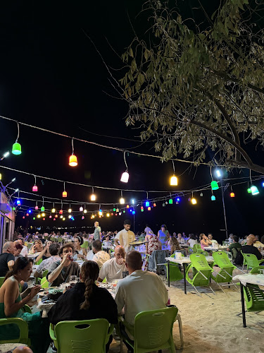 Comentarii opinii despre Arslan Balık