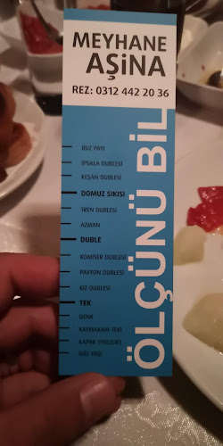 MEYHANE AŞİNA - Gastronomi ve konaklama