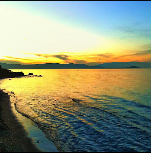 Zeytin Cafe & Restaurant Urla - Gastronomi ve konaklama