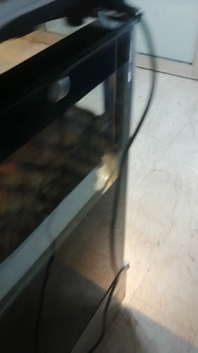 Opinii despre Yıldız Odun Ekmek Fırını în İstanbul - Gastronomi ve konaklama