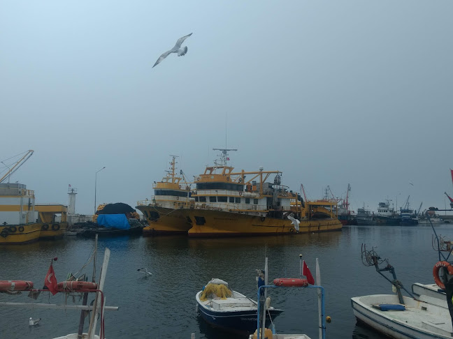 Opinii despre Zeyden Kafe în Sinop Merkez - Gastronomi ve konaklama