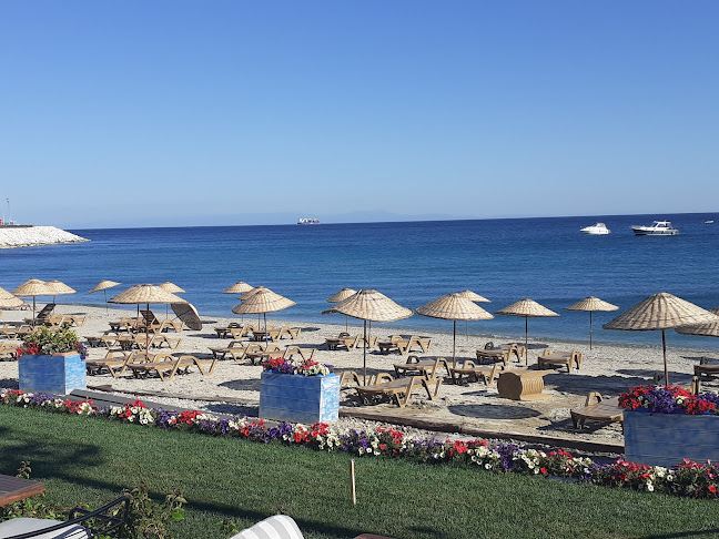 Çatıaltı Meyhanesi - Gastronomi ve konaklama