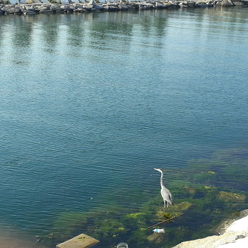 Elazığ Hipodromu - Gastronomi ve konaklama