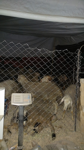 Opinii despre Üçler Saray Ekmek Fabrikasi în Ereğli - Gastronomi ve konaklama