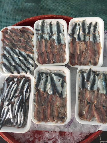 Yenidoğan, Alperen Sk. No:1, 38280 Talas/Kayseri