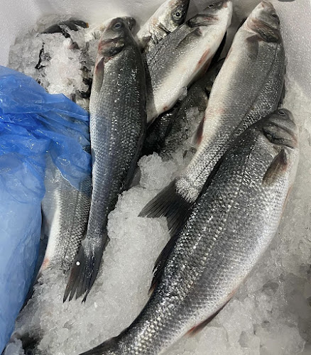 Yeni, Sahil Cd., 01900 Karataş/Adana