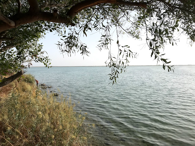 Demre Mavi Uengeç - Gastronomi ve konaklama