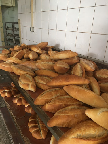 Üç Yıldız Ekmek Fabr. - Balıkesir Merkez