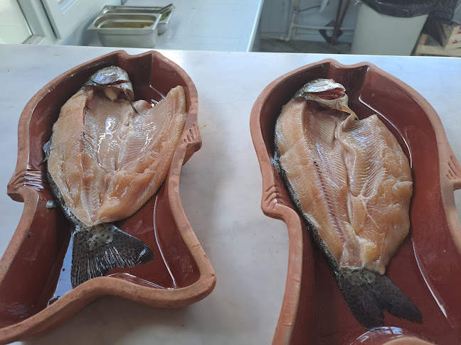 HAS AYDOĞDU Alabalık Tesisleri