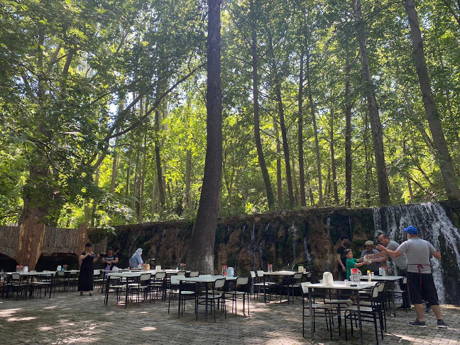 Zeyve Yörem Aile Et ve Balık Restaurant - Gastronomi ve konaklama