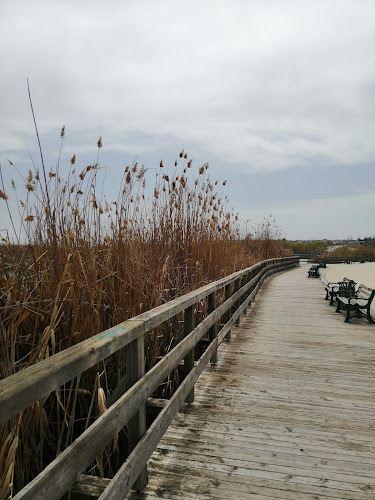 Karşıyaka, Haymana Yolu Blv. No:129, 06830 Gölbaşı/Ankara