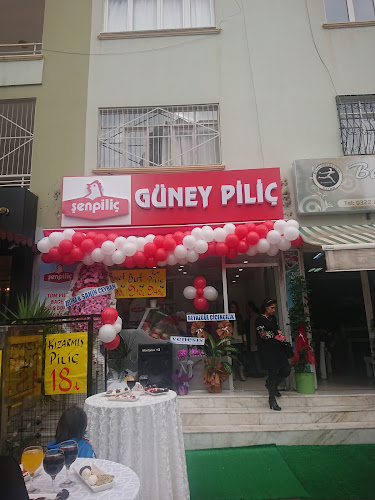 Güney piliç