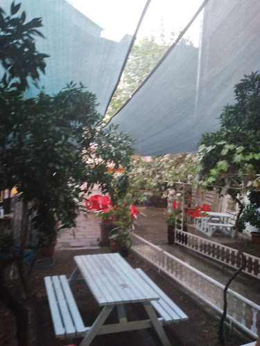 Mandalin's garden - Orhangazi̇