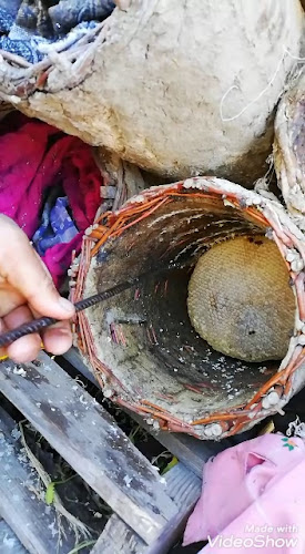 Akbulut balcı - Gastronomi ve konaklama