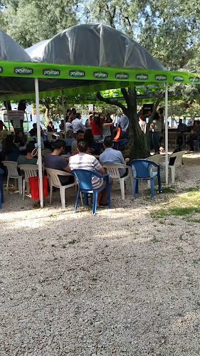 Mustafa Kemal Paşa, Spandau Blv., 16860 İzni̇k/Bursa