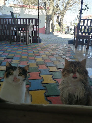 Gönül Abla Bazlama - Gastronomi ve konaklama