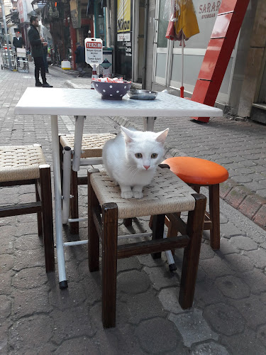 Orta, Lütfiye Cd., 74100 Bartın Merkez/Bartın