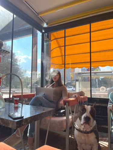 Kültür, 75. Yıl Cd. Ruhi Atıl APT NO:42 C, 07090 Kepez/Antalya