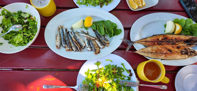 Comentarii opinii despre Balıkevi1986