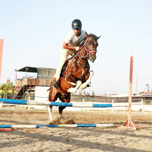 Odabaşı, 31001 Antakya/Hatay