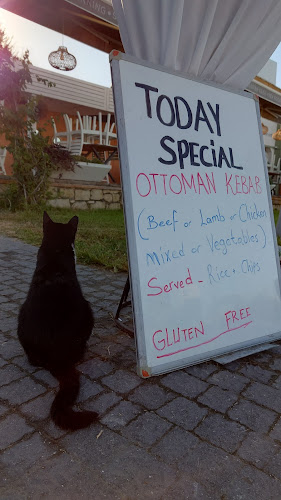 Lime Restaurant - Bar & Shisha Lounge and Beach club - Gastronomi ve konaklama