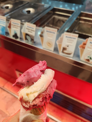 Opinii despre İsmail Şafak Dondurma în Büyükçekmece - Gastronomi ve konaklama