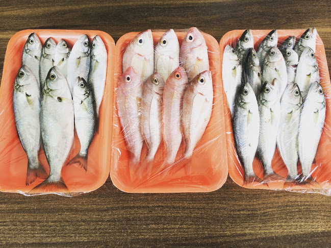 baran balık ve ızgara salonu - Adıyaman Merkez