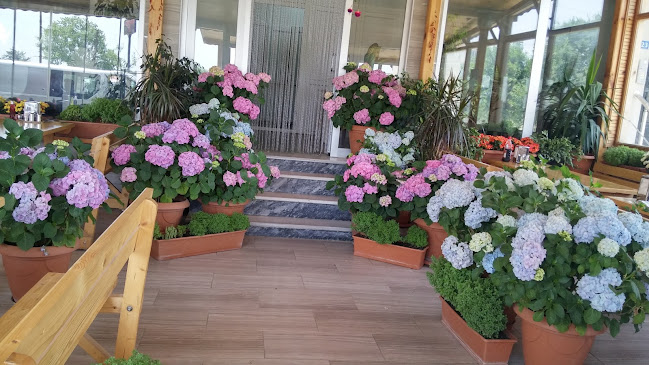 Karaca Kasap&Et&Mangal - Gastronomi ve konaklama