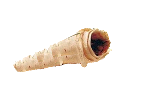 Comentarii opinii despre Yakamoz Döner