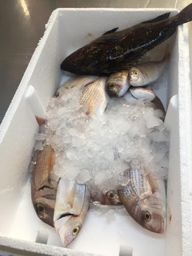 Opinii despre Murat Balıkçılık Side în Side Bld/Manavgat - Gastronomi ve konaklama