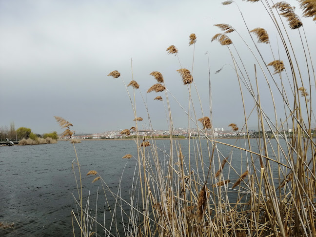 Opinii despre Aysa Restoran în Gölbaşı - Gastronomi ve konaklama