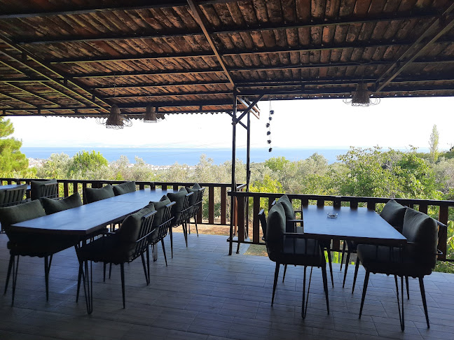 Comentarii opinii despre Doğa Restaurant