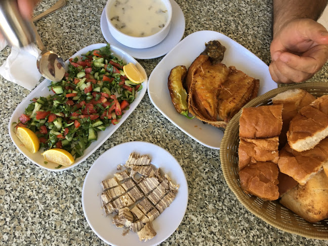 Comentarii opinii despre HAS AYDOĞDU Alabalık Tesisleri